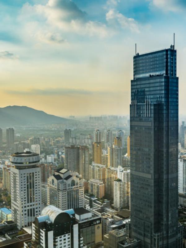 Light and Dark Versions