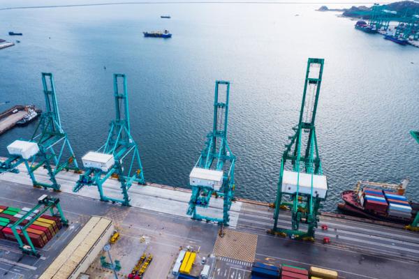 Quantas Company Insights