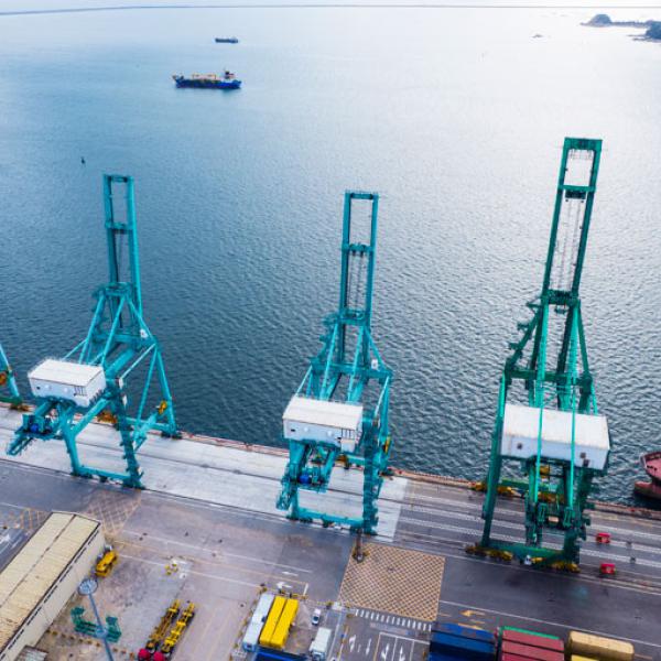 Quantas Company Insights